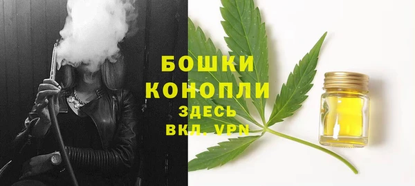 твердый Осинники